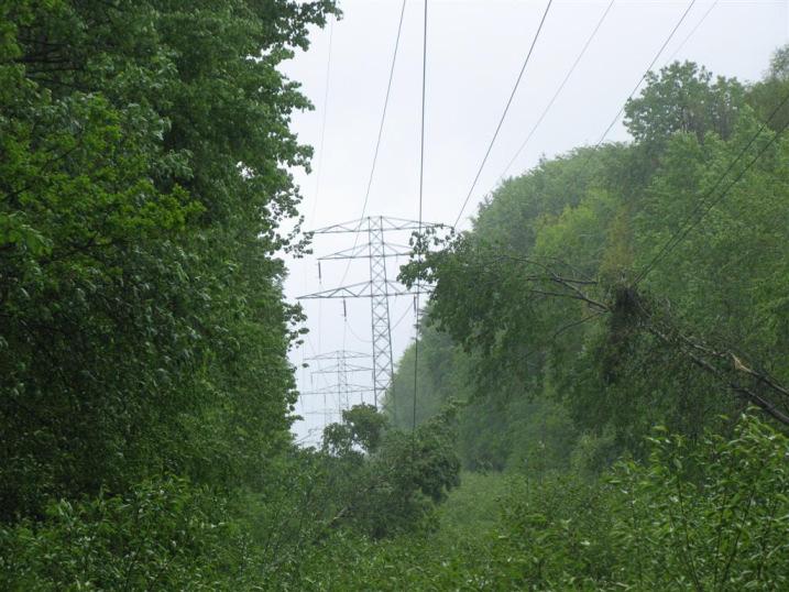 Zabrze – Helenka. Powalone drzewa zrywały linie energetyczne
