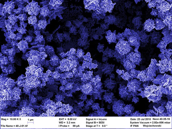 Zdjęcie podłoża z mikrokwiatów złota wykonane za pomocą mikroskopu elektronowego. Powiększenie: 10000x. (Źródło: IChF PAN) Zdjęcie podłoża z mikrokwiatów złota wykonane za pomocą mikroskopu elektronowego. Powiększenie: 10000x. (Źródło: IChF PAN)