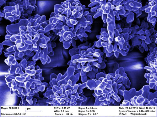 Zdjęcie podłoża z mikrokwiatów złota wykonane za pomocą mikroskopu elektronowego. Powiększenie: 30000x. (Źródło: IChF PAN) Zdjęcie podłoża z mikrokwiatów złota wykonane za pomocą mikroskopu elektronowego. Powiększenie: 30000x. (Źródło: IChF PAN)