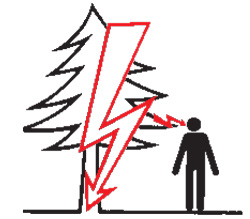 Rys. 1. Porażenie boczne od drzewa, w które uderzył piorun