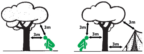 Rys. 3. Bezpieczne odległości dla chronienia się pod drzewem podczas burzy Rys. 3. Bezpieczne odległości dla chronienia się pod drzewem podczas burzy