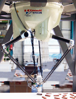 Robot YF003N w ultraszybkiej aplikacji pakowania batoników (130 szt./min)