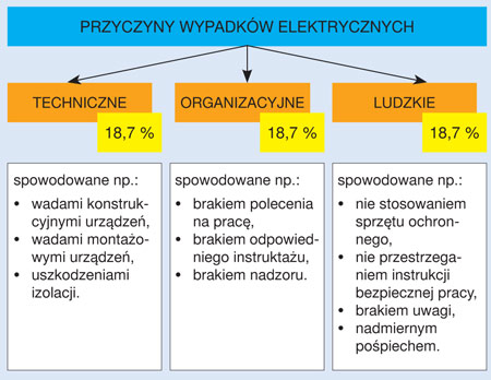 Rys. 1. Rozkład procentowy przyczyn wypadków