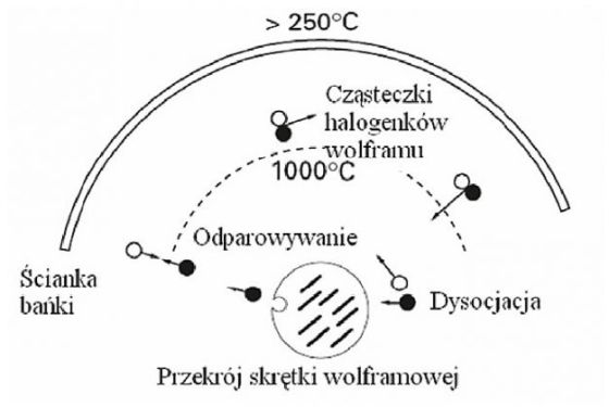 cykl halogenowy, oświetlenie halogenowe