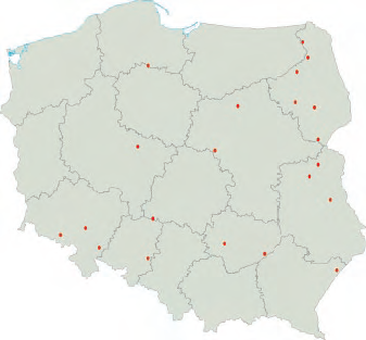 Rys. 4. Duże pożary spowodowane przez wyładowania piorunowe w Polsce w ciągu całego 2010 r. [3]
