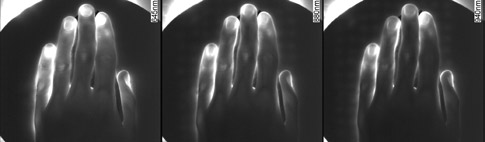 Rys. 2. Porównanie rezultatów prześwietlenia grzbietowej strony ręki lewej dla trzech różnych długości fal Rys. 2. Porównanie rezultatów prześwietlenia grzbietowej strony ręki lewej dla trzech różnych długości fal