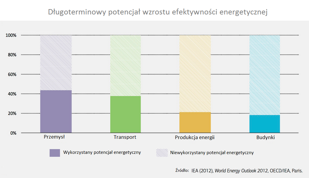 Długoterminowy potencjał wzrostu efektywności energetycznej