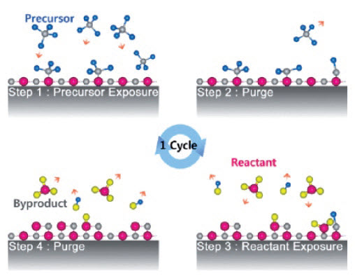 Rys. 3. Schematyczne przedstawienie jednego cyklu w procesie atomowego osadzania warstwy (ALD) Rys. 3. Schematyczne przedstawienie jednego cyklu w procesie atomowego osadzania warstwy (ALD)