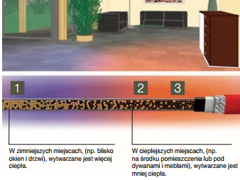 samoregulacja_zyly_zasilajace