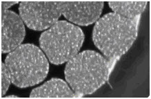 Standardowy kabel skompresowany  klasy 2 typu RMC