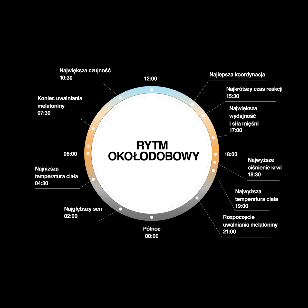 Rytm okołodobowy grafika_Beghelli