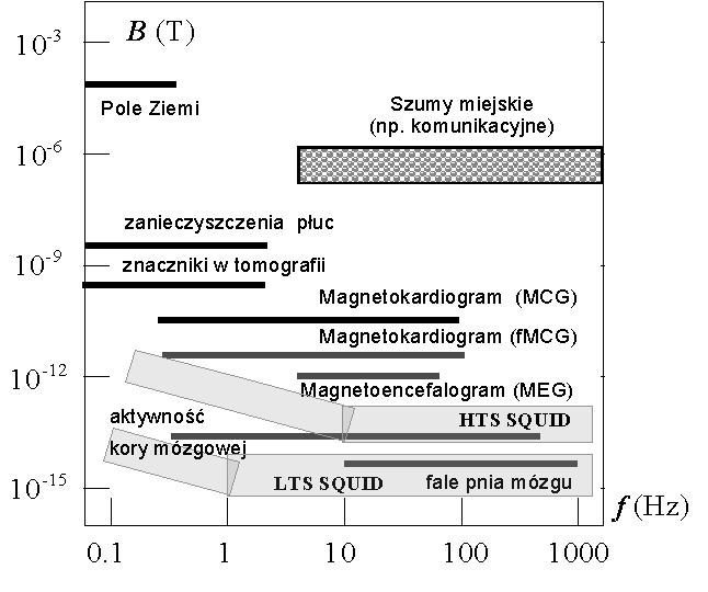 Fig. 3. The dependence on the frequency of the intensity of magnetic signals from biological and industrial objects – public transport as well as SQUID-s characteristics