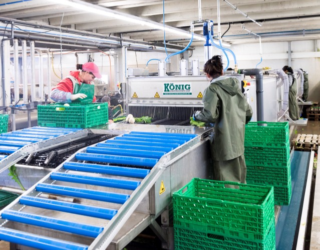 Eaton minimalizuje czas przestoju maszyny do przygotowywania warzyw w celu zapewnienia świeżych produktów