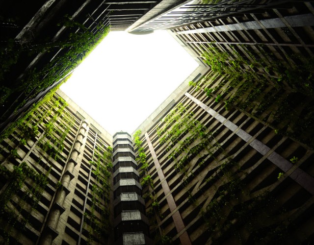 Roślinność w budownictwie