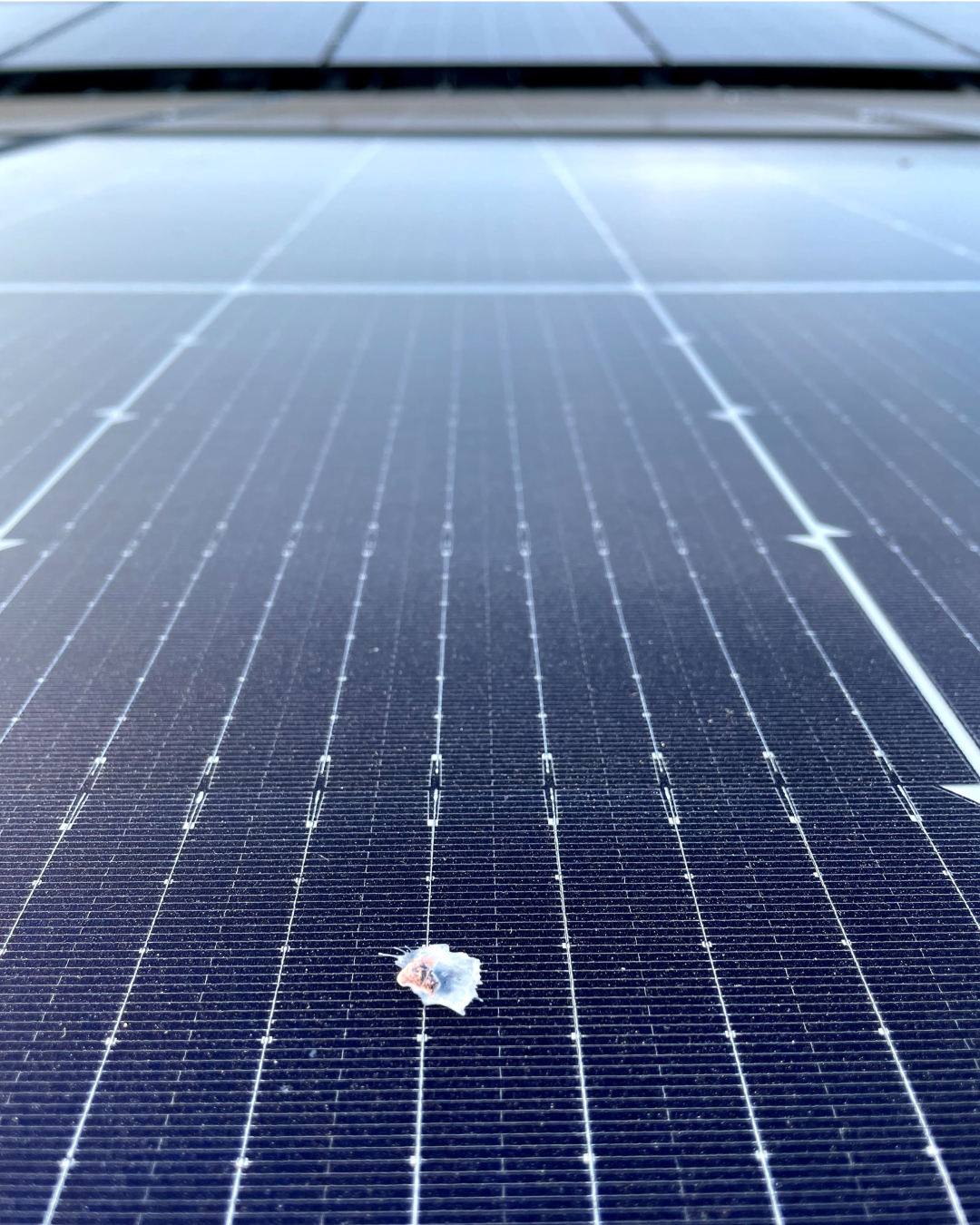 Ptasie guano na panelach fotowoltaicznych