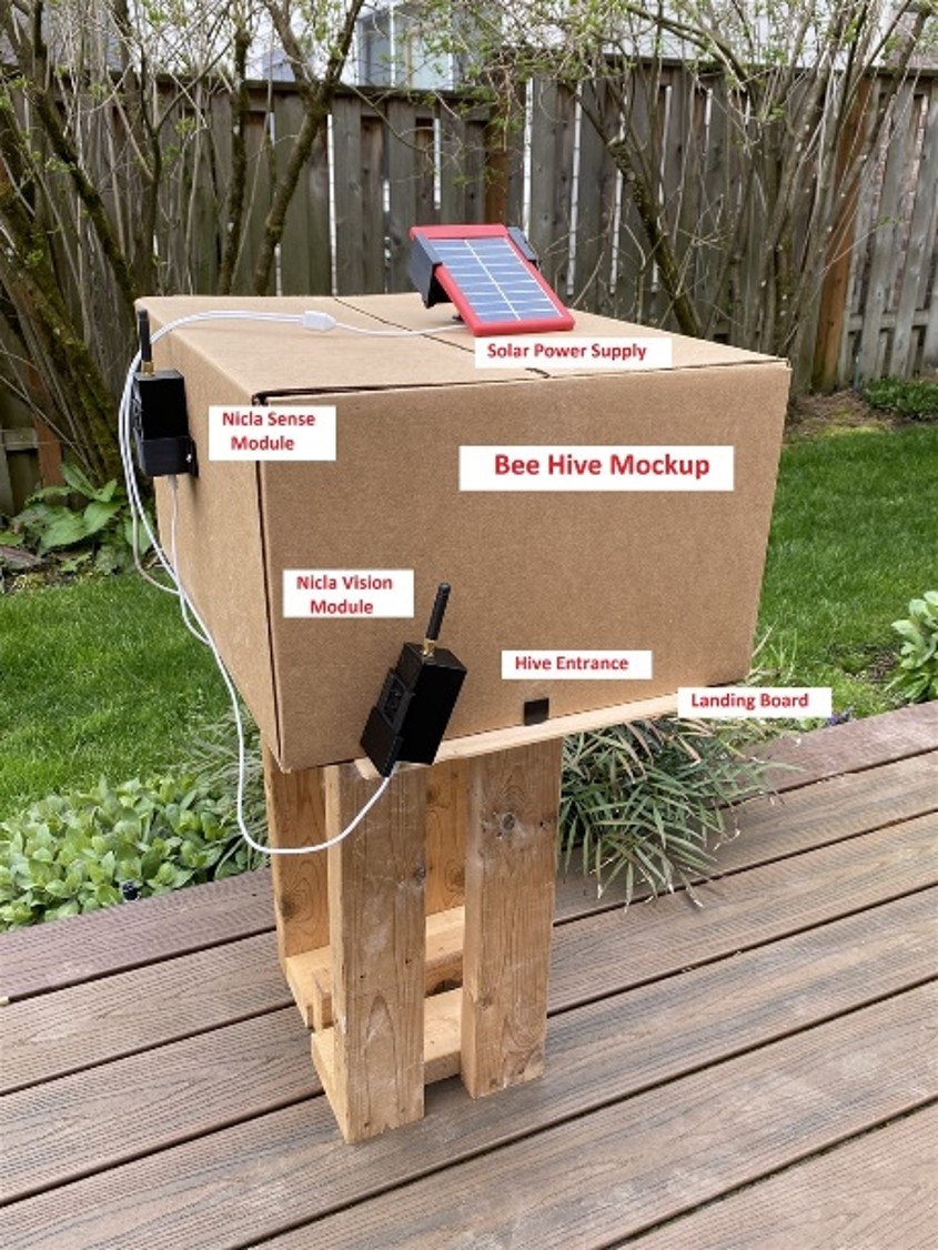 Zwycięzki projekt w konkursie "Ocal pszczoły – wyzwanie projektowe"