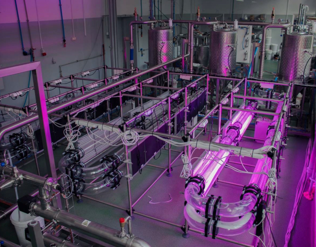 ALGI CO2 instalacja - Global Hydrogen