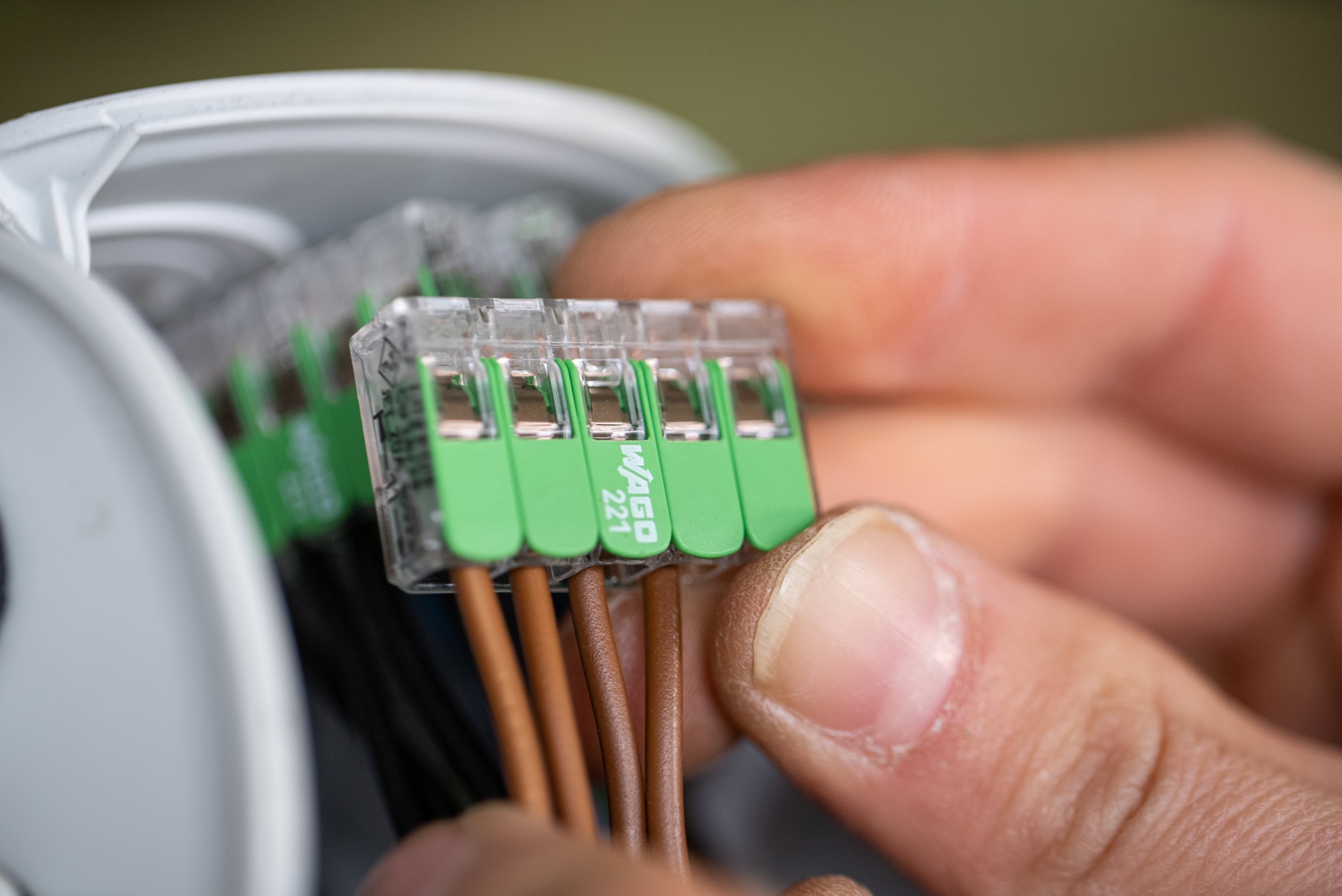 Green Range 221 – pierwsze złączki WAGO wyprodukowane częściowo z bio-cyrkularnych oraz porecyklingowych tworzyw sztucznych