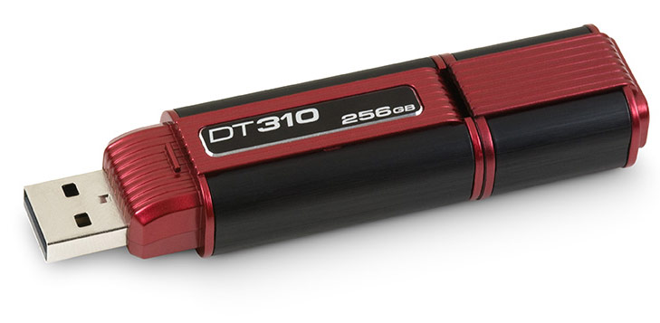 Kingston DataTraveler 310