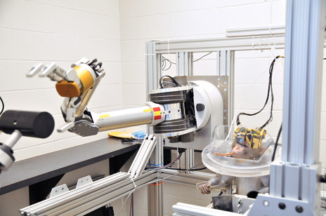 W tej demonstracji naukowcy z Uniwersytetu w Pitsburgh nauczyli małpę używać mysli do sterowania zaawansowanego eobo-ramienia.