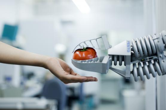 Polak współtwórcą bionicznego ramienia wzorowanego na trąbie słonia