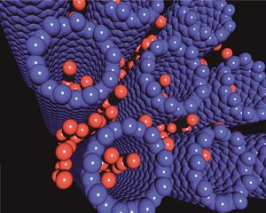 Molekularna symulacja nanorurek węgla magazynujących wodór