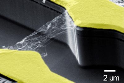 Jednościenne nanorurki węglowe są obiecującym materiałem budulcowym dla przyszłych urządzeń optoelektronicznych. Pomiary przy użyciu konwencjonalnej elektroniki nie były w stanie dać dobrego  obrazu ultra szybkiej dynamiki optoelektronicznej nanorurek. Niemieccy naukowcy, z prof. Alexandrem Holleitnerem na czele, fizykiem z Technische Universitaet Muenchen, odkryli sposób bezpośredniego mierzenia dynamiki foto-wzbudzonych elektronów w nanoskalowych detektorach.