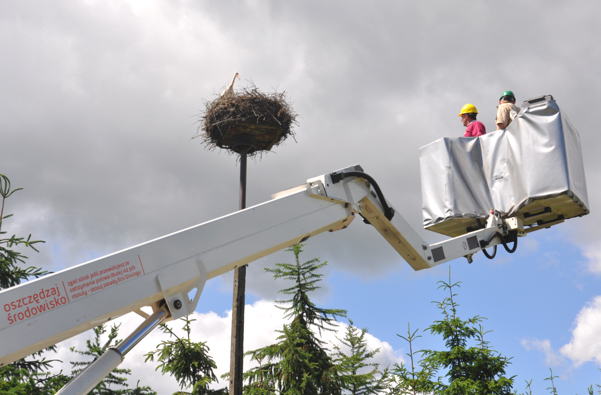 Energetyczni obrączkarze