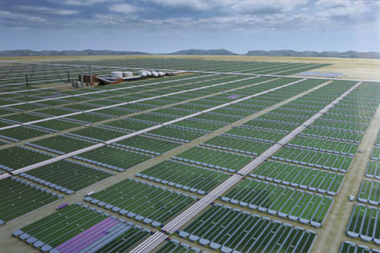 Hodowla alg do produkcji biomasy