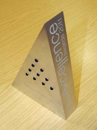 Supply Chain Excellence Award