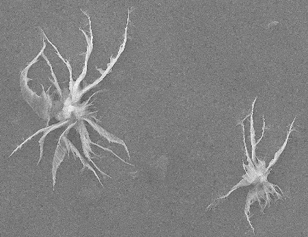 Dla lepszego zawieszania w wodzie, stanowiącej bazę płuczki, zespół zastosował nie zwykłą formę grafenu, a tlenek grafenu (GO) w formie płatków, tzw. śnieżynek.