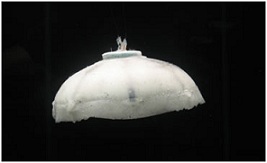 Napędzany wodorem podwodny robot-meduza