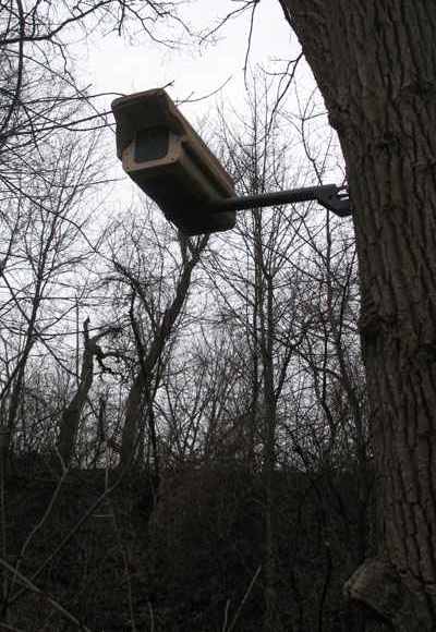 Monitoring wizyjny w lesie