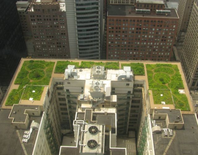 Go Green in the City