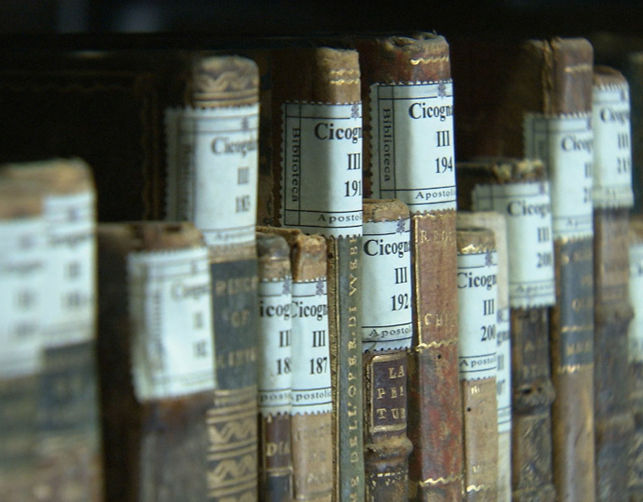 Digitalizacja zbiorów Biblioteki Watykańskiej