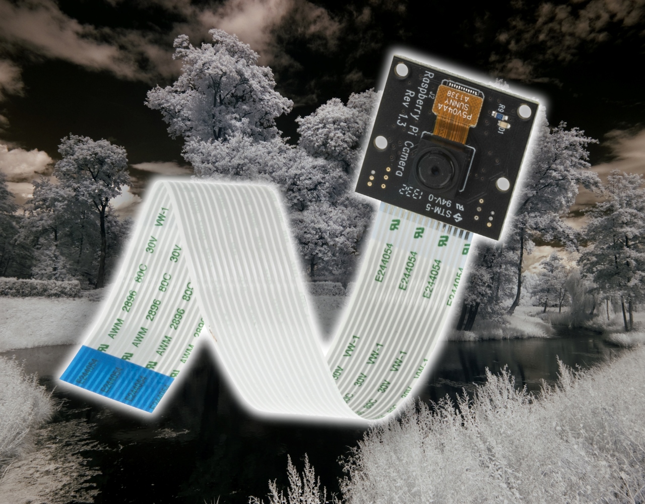 Moduł Pi NoIR z rejestracją obrazu w podczerwieni — nowe możliwości projektowe dla entuzjastów Raspberry Pi