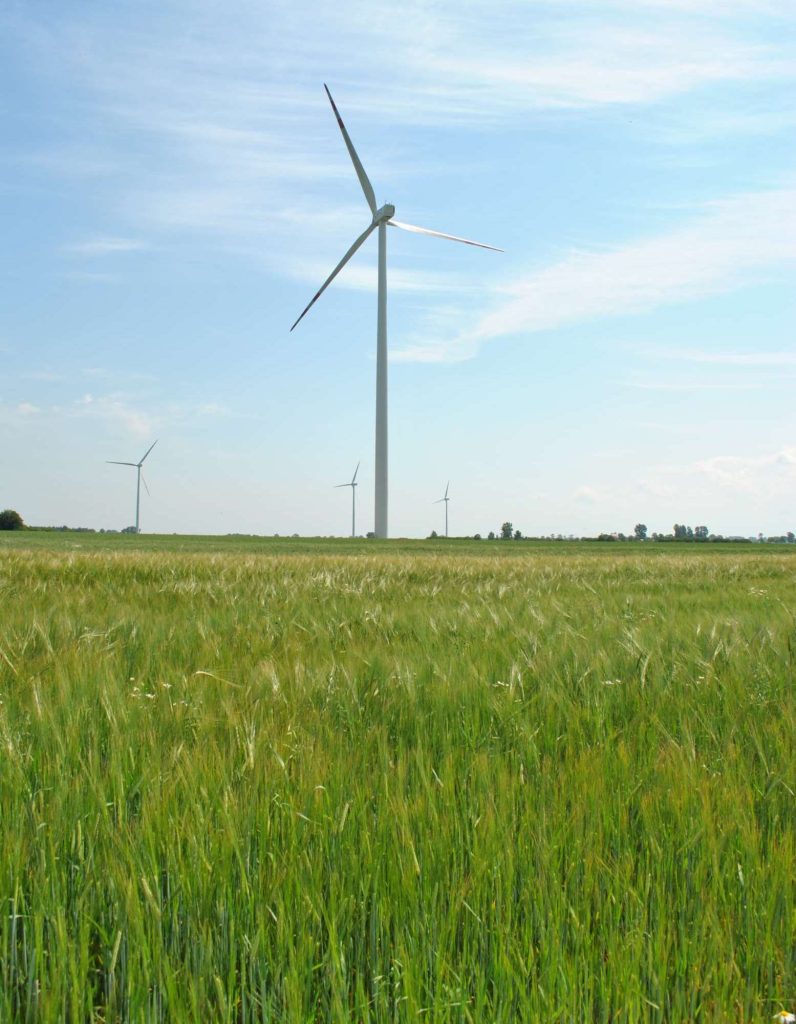 Co myślimy o wiatrakach? Raport o postrzeganiu Odnawialnych Źródeł Energii