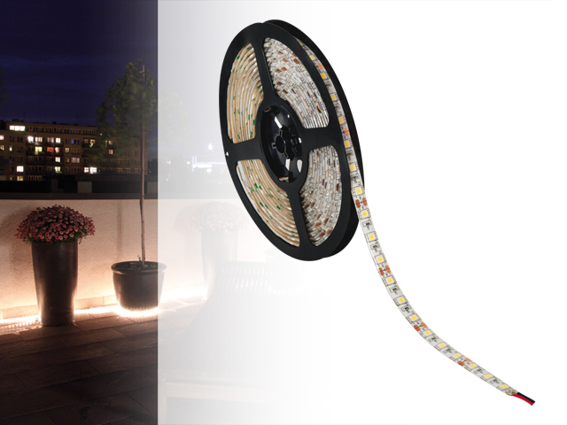 Taśma LARIO LED SMD-CW
