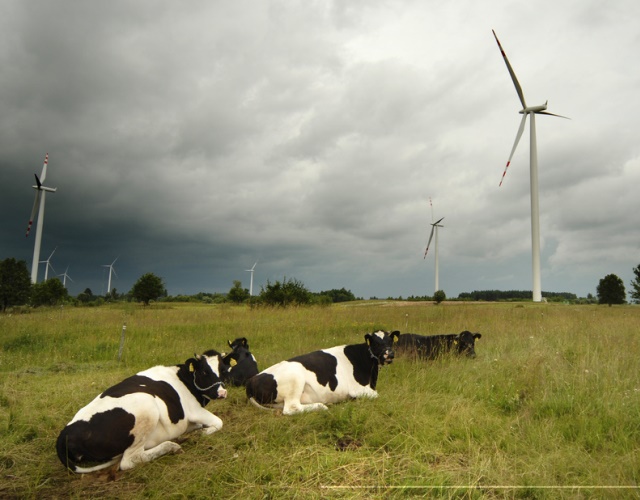 Farma wiatrowa na wsi