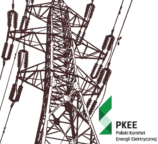 PKEE: Brak rynku mocy w Polsce to koszt ponad 10 mld zł rocznie