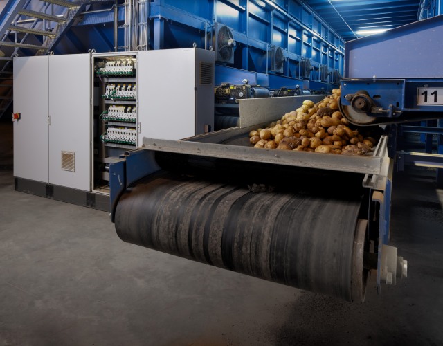 Sortownia w zakładzie przetwórstwa ziemniaków