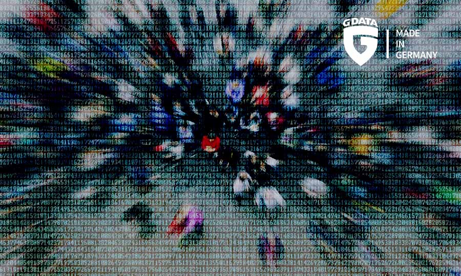 DDoS, czyli godzinny paraliż