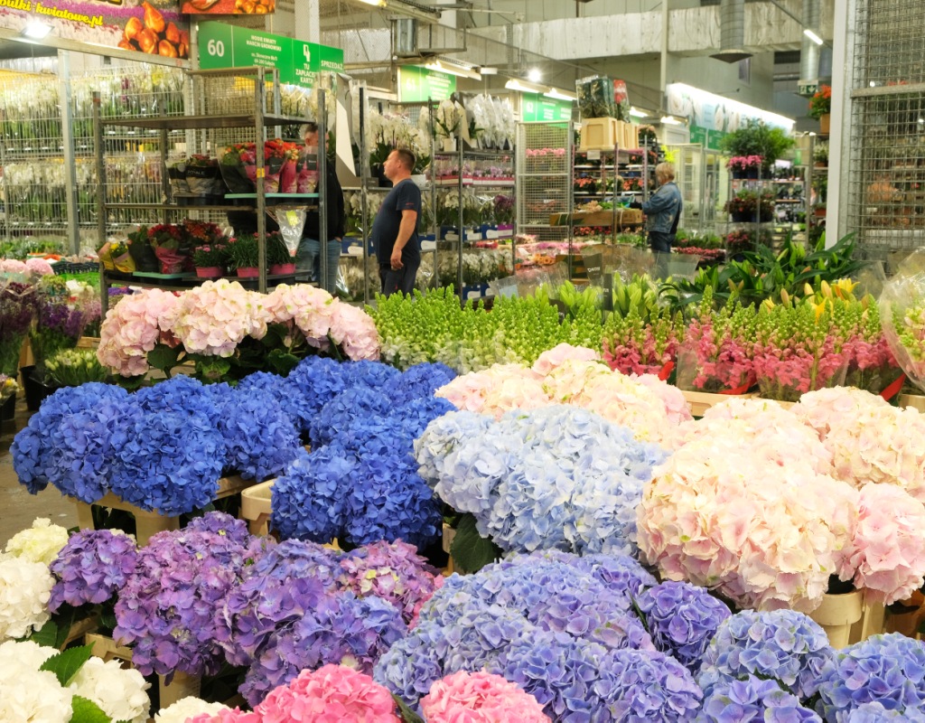 Hala kwiatów żywych  w Wielkopolskiej Gildii Rolno-Ogrodniczej